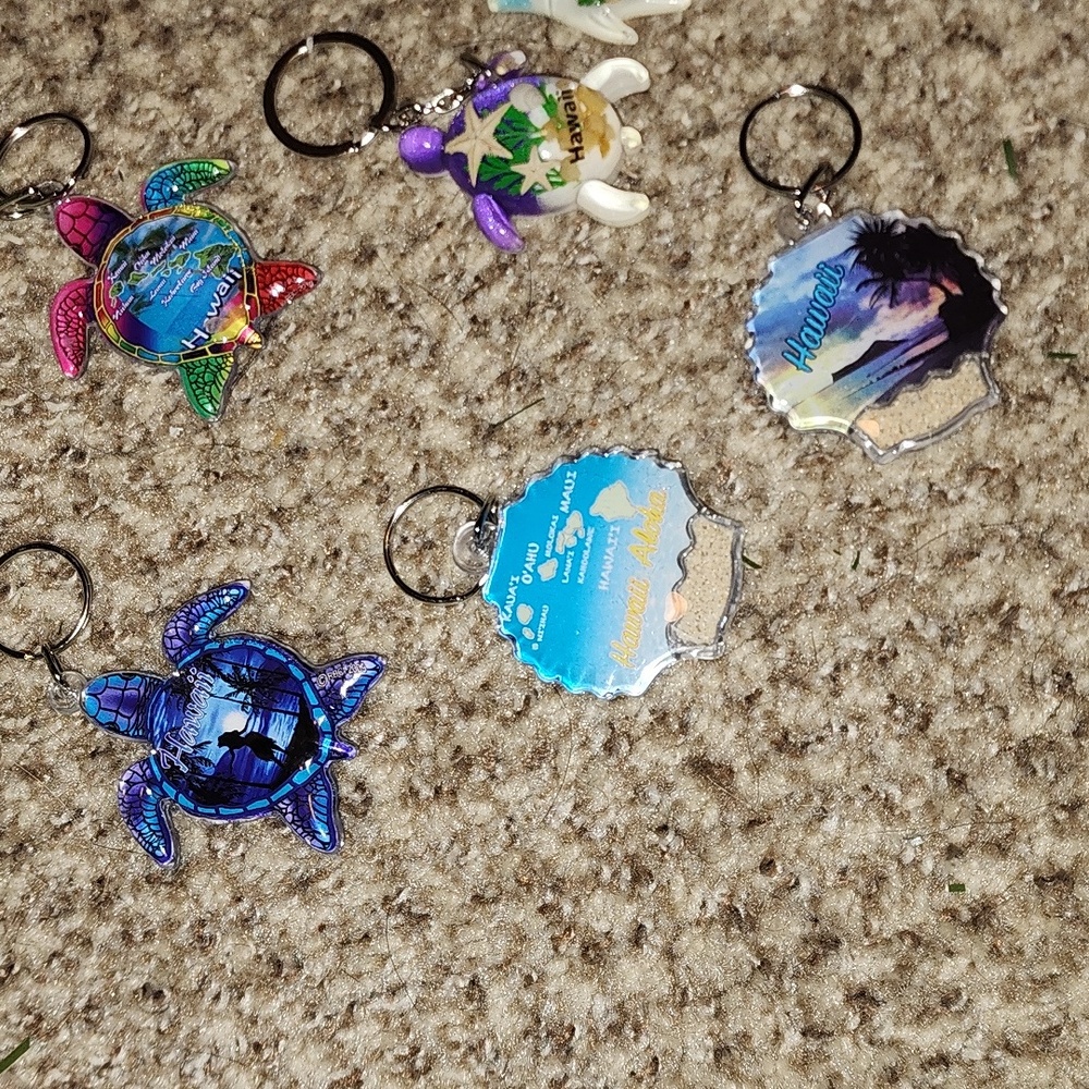 Hawaii Keychains - Picture 9 of 9